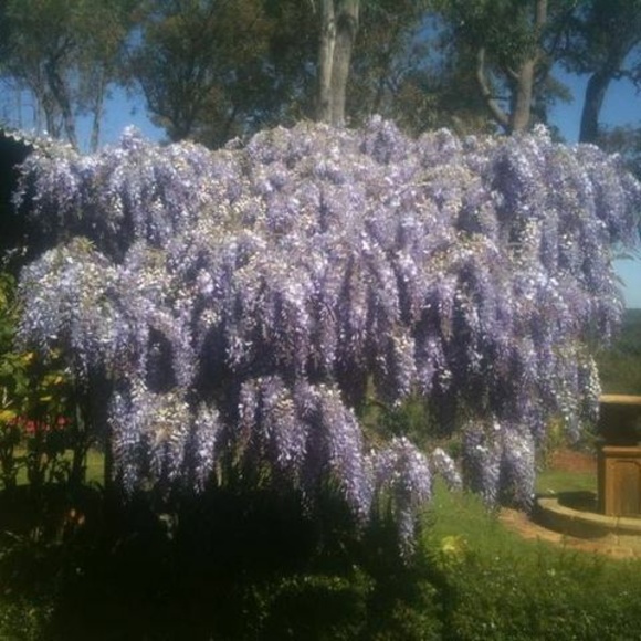 Meet your Posher, Kerry - Picture 1 of 1